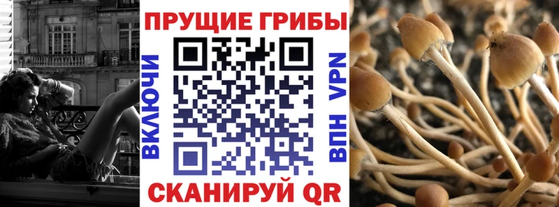 Галлюциногенные грибы Cubensis Перевоз